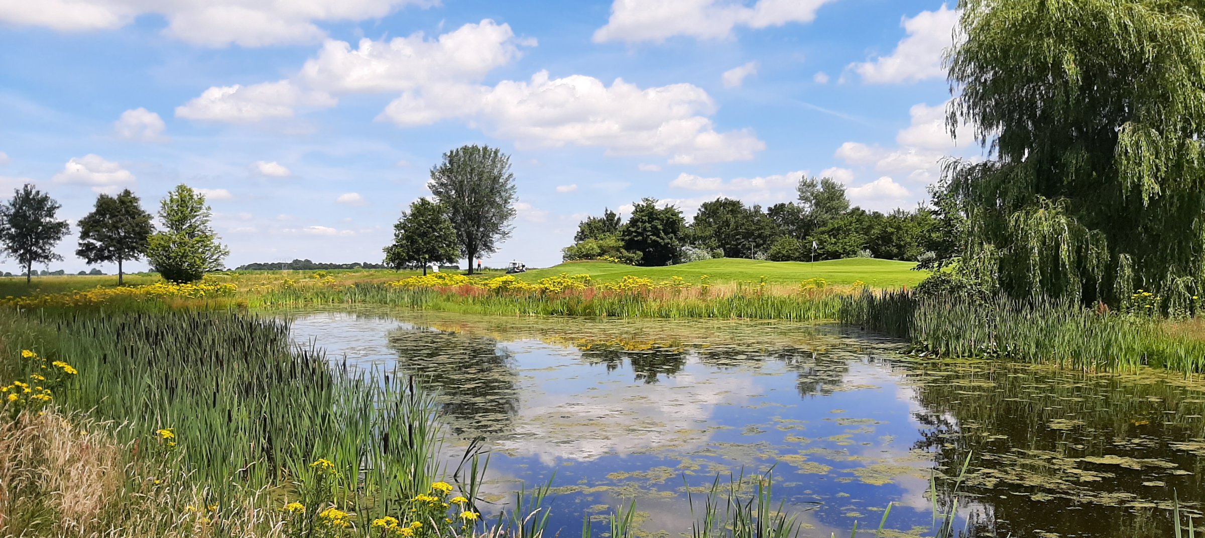 golfen op meerder banen