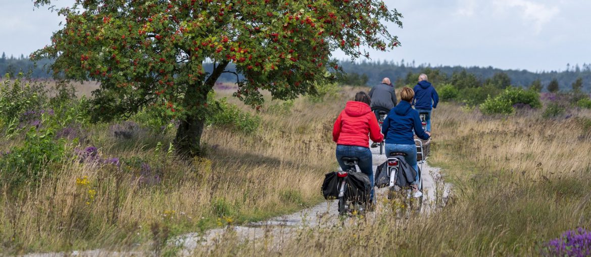 Fietsen door Drenthe